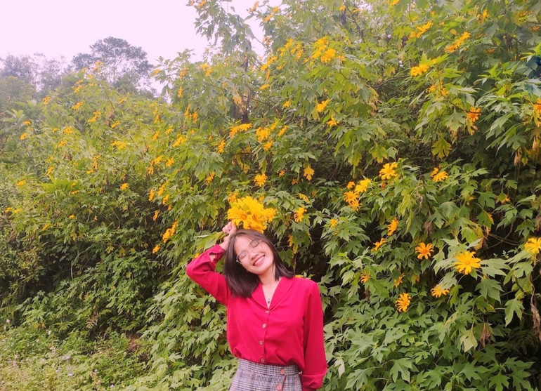 Dã quỳ “nhuộm” vàng khắp núi rừng Tây Bắc -0