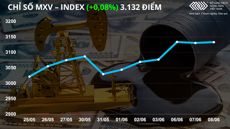 Giá dầu vững vàng trên vùng 120 USD/thùng sau báo cáo của EIA -0