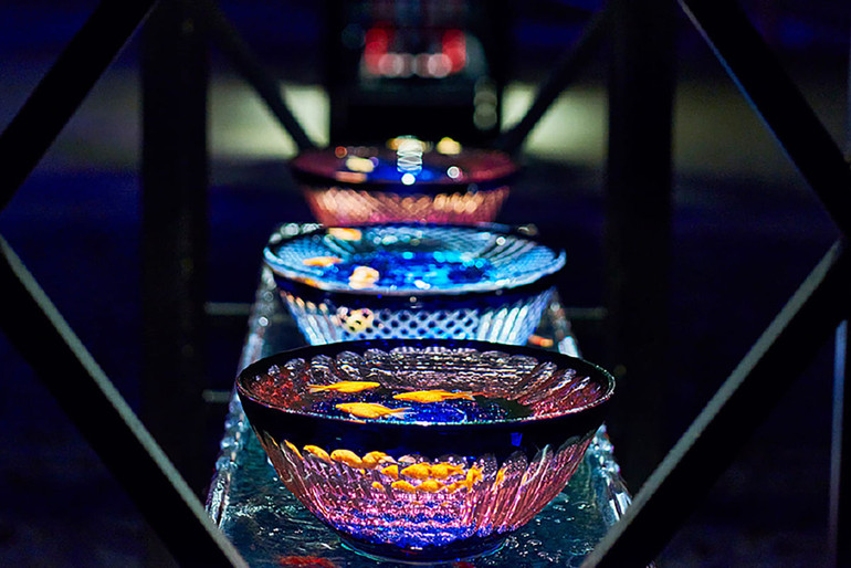 Huyền bí sắc màu Art Aquarium ở thủ đô Tokyo -4