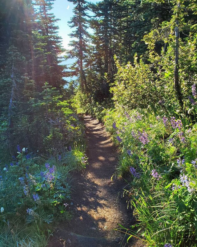 “Đường đèo trong mây” Hải Vân lọt top những cung đường đẹp nhất thế giới -0