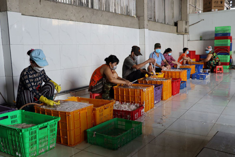 Phát hiện hơn 10 tấn nội tạng lợn không rõ nguồn gốc tại công ty thực phẩm -0