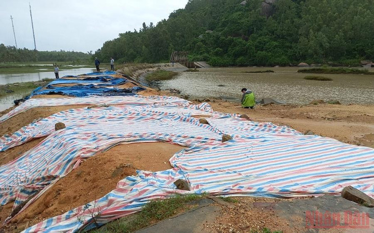 Đoạn thân đê bị vỡ được gia cố tạm thời tiếp tục bị sạt lở. (Ảnh: HIỂN CỪ) Mưa lũ, triều cường gây vỡ đê ở Quảng Ngãi -0