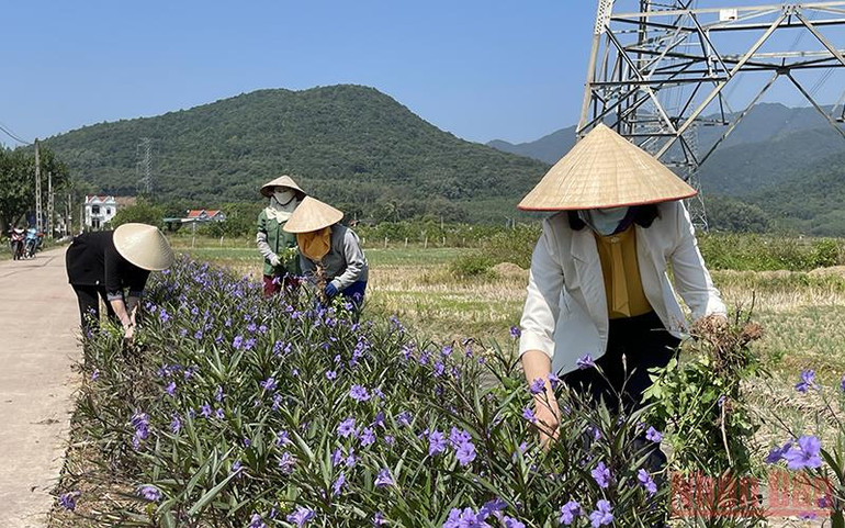 Phụ nữ Hải Dương thực hành tiết kiệm theo gương Bác -0