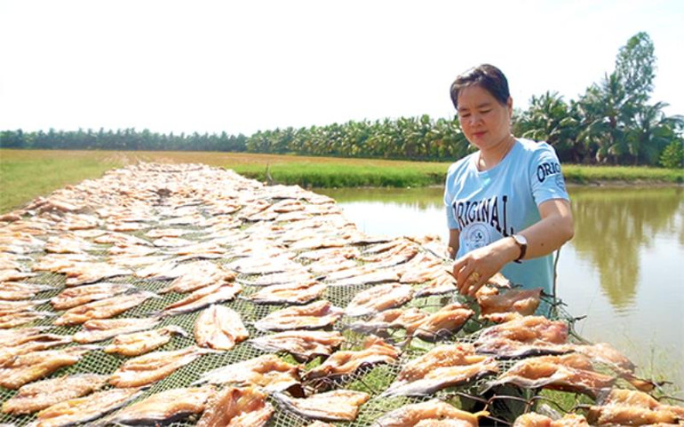 Nhớ mùi cá khô dân dã -0