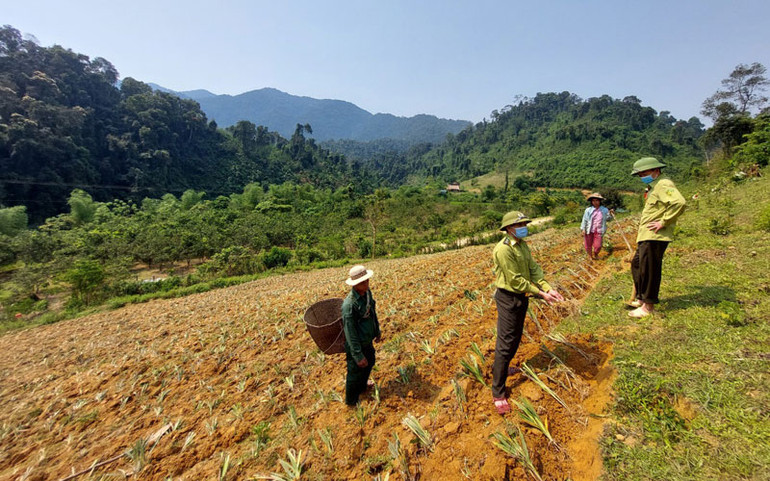 Thí điểm mô hình hỗ trợ sinh kế bền vững tại Vườn quốc gia Pù Mát -0