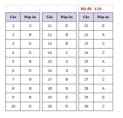 Gợi ý đáp án các mã đề môn Ngoại ngữ thi vào lớp 10 Hà Nội -3