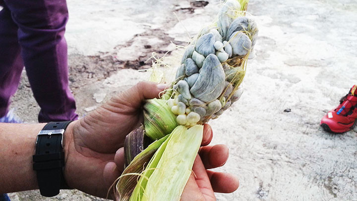 Công trình kiến trúc “méo mó” -0