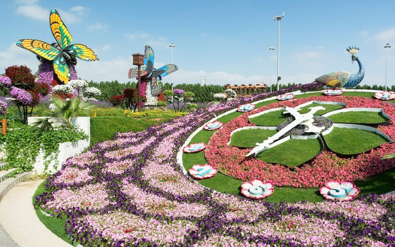 Nằm ở Dubai, Các Tiểu vương quốc A-rập Thống nhất, Khu vườn kỳ diệu Dubai là khu vườn hoa tự nhiên lớn nhất thế giới. Khu vườn này có tới 60 loài hoa với hơn 109 triệu bông hoa. Theo CNN, trải rộng trên một diện tích 7,28 ha, mỗi năm khu vườn thu hút hơn một triệu du khách tới tham quan. Những khu vườn ấn tượng trên thế giới -2