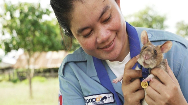 Những hương vị chocolate độc đáo -0