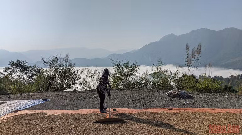 Săn mây trên đèo Tằng Quái -0