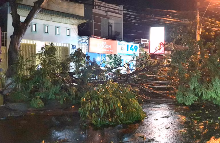 Mưa kèm gió mạnh làm đổ, gãy nhiều cây xanh tại TP Kon Tum -0