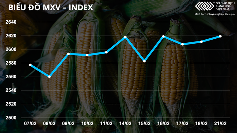 Giá dầu thô tăng mạnh gần 3,5% -0
