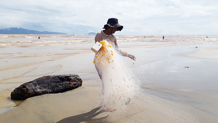 Sông Thu Bồn mùa lũ -0