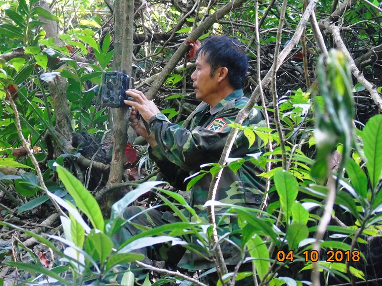 Cần bảo tồn khẩn cấp loài vọoc mông trắng tại Hà Nam -0
