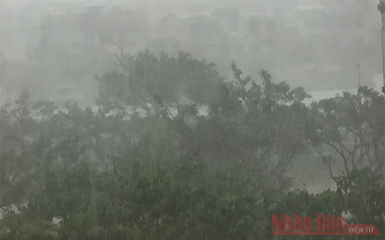 Bão giật cấp 16 vào vùng biển Đà Nẵng đến Phú Yên -0