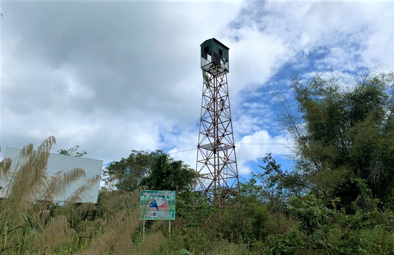 Nỗ lực giữ “lá phổi” xanh cho Tây Nguyên -0