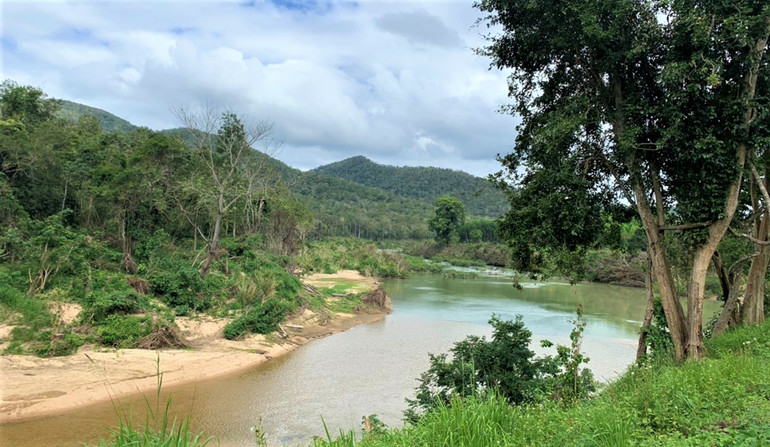 Nỗ lực giữ “lá phổi” xanh cho Tây Nguyên -0