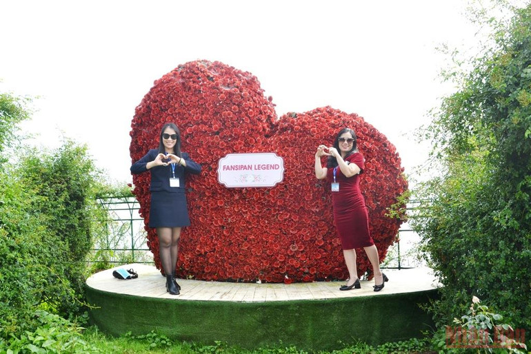 Khai hội hoa hồng trên thiên đường mây Sa Pa -0