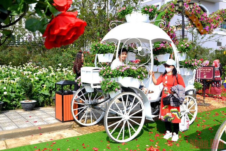 Khai hội hoa hồng trên thiên đường mây Sa Pa -0