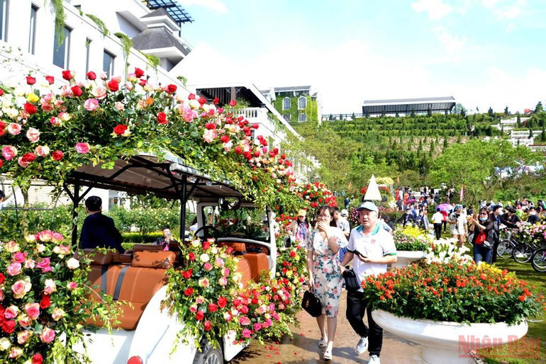 Khai hội hoa hồng trên thiên đường mây Sa Pa -0