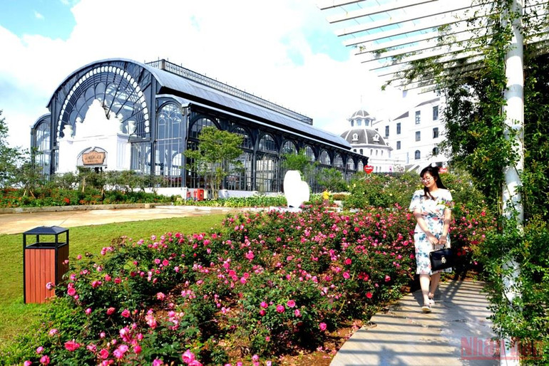 Khai hội hoa hồng trên thiên đường mây Sa Pa -0