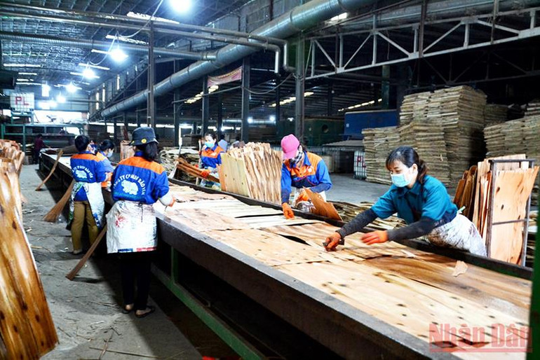Con em đồng bào dân tộc thiểu số được đào tạo nghề, vào làm việc ở Công ty cổ phần MDF Bảo Yên sản xuất ván ép, gỗ thanh xuất khẩu. 8 giải pháp nâng cao chất lượng giáo dục, đào tạo nghề khu vực miền núi phía bắc -0