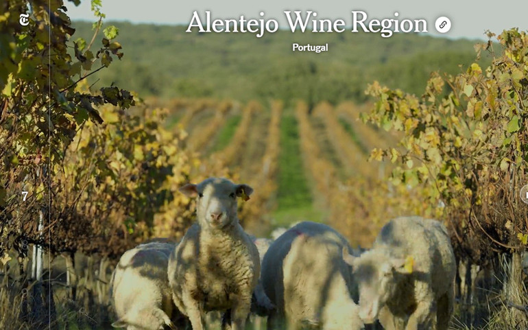 Vùng sản xuất rượu vang Alentejo: Các sáng kiến xanh được áp dụng trong việc giảm lượng nước sử dụng cho quy trình sản xuất rượu vang, góp phần vào nỗ lực chống biến đổi khí hậu. The New York Times: Đồng bằng sông Hồng trong danh sách 52 điểm đến năm 2022 -0