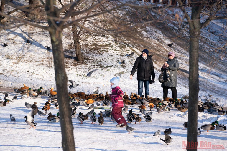 Covid-19 có khiến người Nga từ bỏ thói quen yêu thích tháng cuối năm? -0