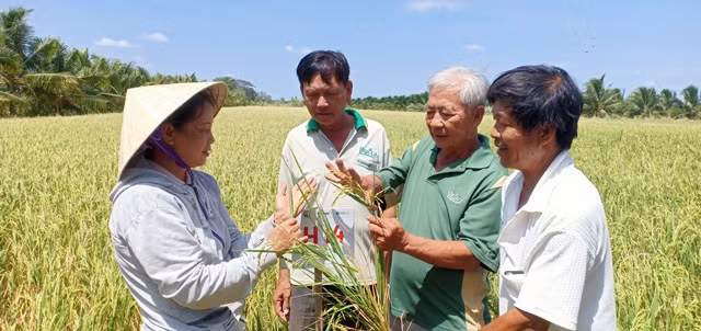 Khởi nghiệp kiểu Ba Nhựt ảnh 2