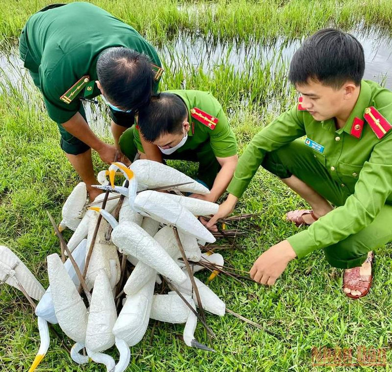 Quảng Bình: Ngăn chặn nạn tận diệt chim trời -0