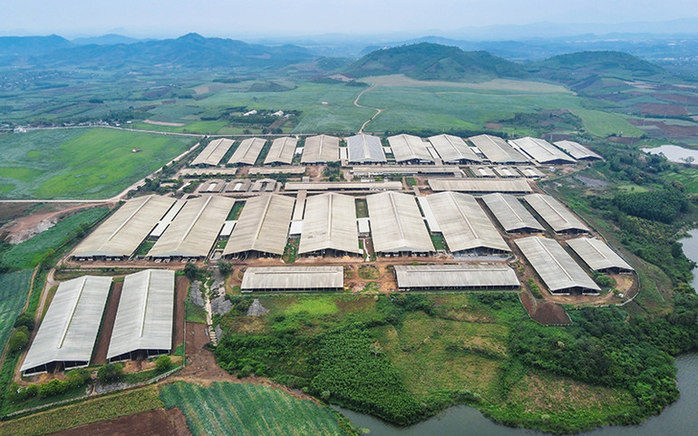 Đại diện duy nhất của Việt Nam được vinh danh top 10 châu Á “Phụ nữ vì sự phát triển bền vững” -0