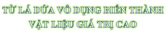 Nhà khoa học gốc Việt biến lá dứa thành chất vật liệu aerogel vô giá -0
