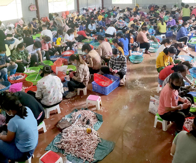 Cơ sở sơ chế chân gà hoạt động khi chưa được cấp phép -0