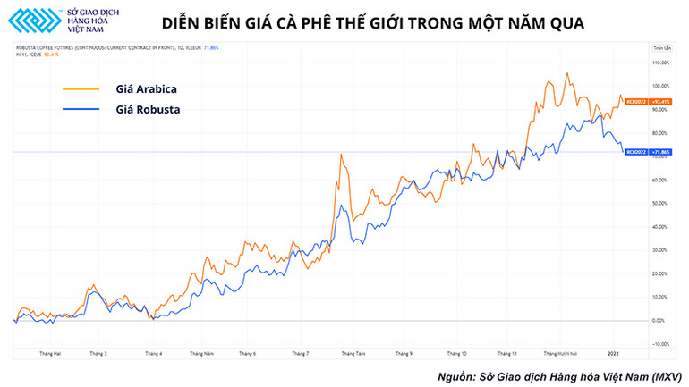 Trước khi tới tay chúng ta, hạt cà-phê đã “lăn” qua rất nhiều câu chuyện -0