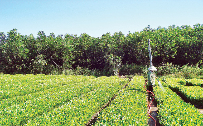 Chung tay Vì một Việt Nam xanh -0