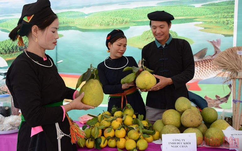 Nhân rộng mô hình thanh niên khởi nghiệp ở Yên Bái -0