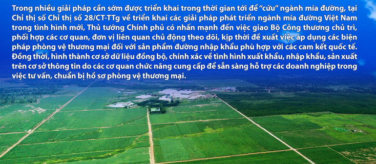 Mía đường “lâm nguy” -0