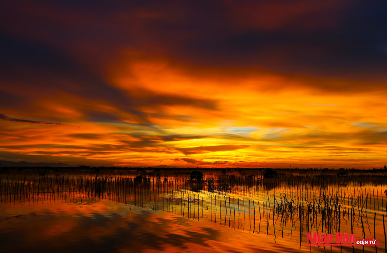 Hoàng hôn tuyệt đẹp trên phá Tam Giang -0