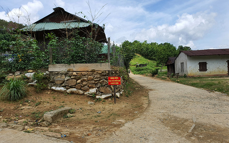 Sớm dập dịch tụ huyết trùng trên trâu bò -0