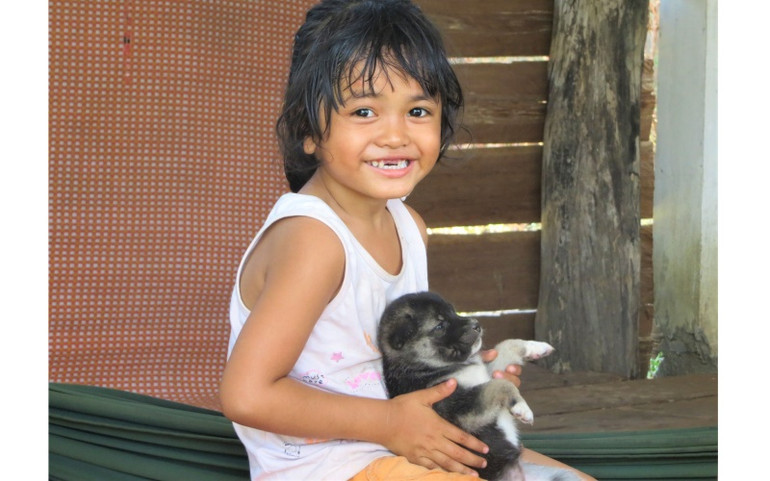 Nỗi lo bệnh dại ở Đắk Lắk -0