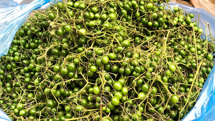 Ngọt lành “quả đắng” Phù Yên -0