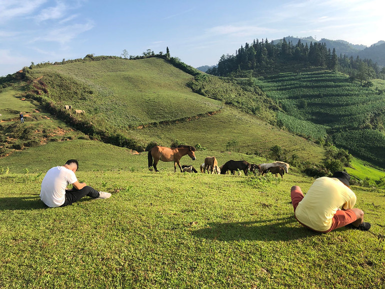 Ngắm hoàng hôn trên đỉnh Ngải Thầu ảnh 17