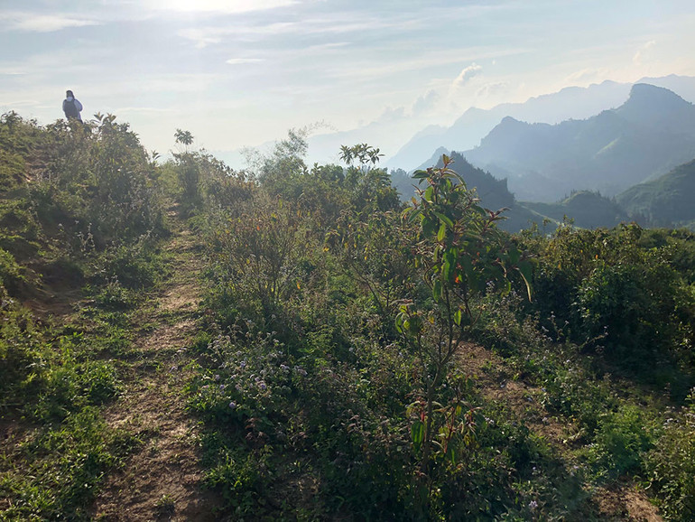 Ngắm hoàng hôn trên đỉnh Ngải Thầu ảnh 11