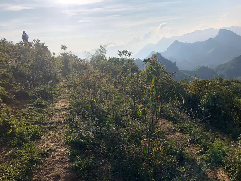 Ngắm hoàng hôn trên đỉnh Ngải Thầu ảnh 11