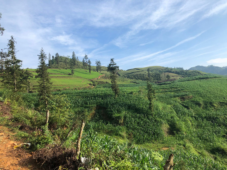 Ngắm hoàng hôn trên đỉnh Ngải Thầu ảnh 7