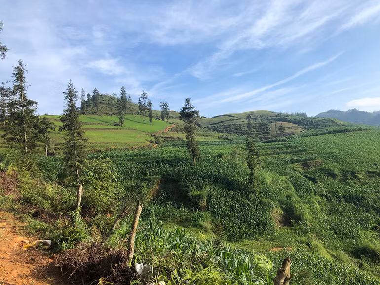 Ngắm hoàng hôn trên đỉnh Ngải Thầu ảnh 7