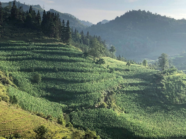 Ngắm hoàng hôn trên đỉnh Ngải Thầu ảnh 19