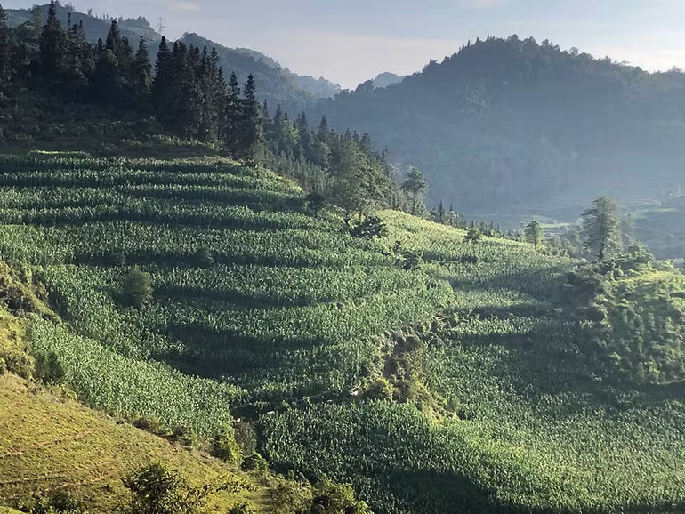 Ngắm hoàng hôn trên đỉnh Ngải Thầu ảnh 19