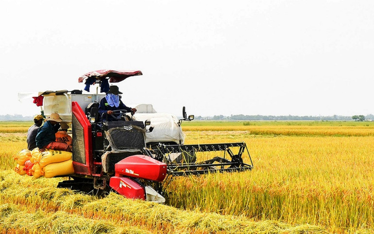 Trồng lúa hữu cơ, điểm nhấn được Quảng Trị ưu tiên phát triển. QT_Nong_nghiep_2-1601630176866.jpg