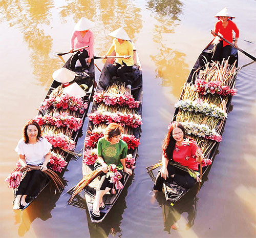 Bông súng mùa nước nổi ảnh 2 11_2-1643077252450.jpg